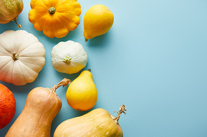 ripe whole colorful pumpkins on blue background with copy space