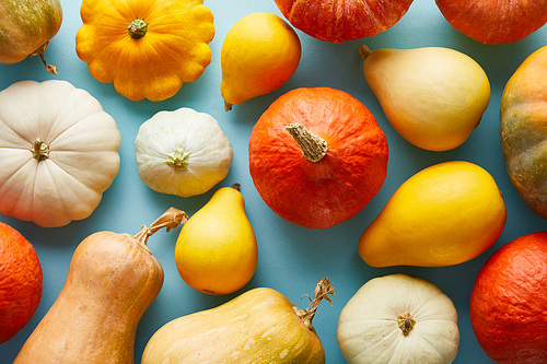 ripe whole colorful pumpkins on blue background