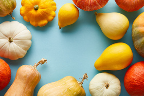 ripe whole colorful pumpkins on blue background with copy space
