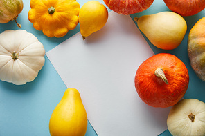 ripe whole colorful pumpkins on blue background with white blank paper