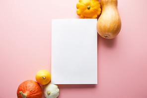ripe whole colorful pumpkins on pink background with white blank paper
