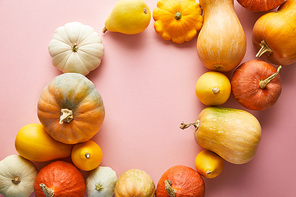 ripe whole colorful pumpkins on pink background with copy space