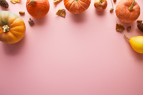 ripe whole colorful pumpkins and autumnal decor on pink background with copy space