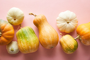 ripe whole colorful pumpkins on pink background