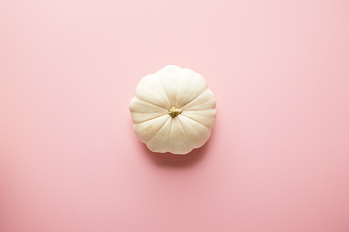 ripe whole white pumpkin on pink background