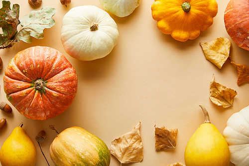 top view of ripe whole pumpkins with dry golden foliage on beige background with copy space