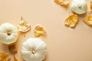 top view of ripe whole white pumpkins with dry golden foliage on beige background