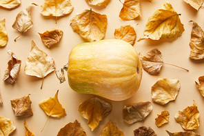top view of ripe whole pumpkin with dry golden foliage on beige background