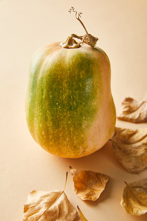 ripe whole pumpkin with dry golden foliage on beige background