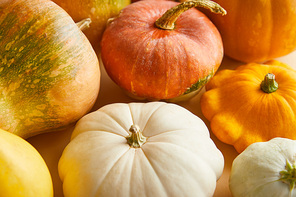 ripe whole colorful pumpkins in stack