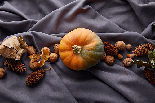 top view of ripe whole colorful pumpkin with autumnal decor on grey cloth