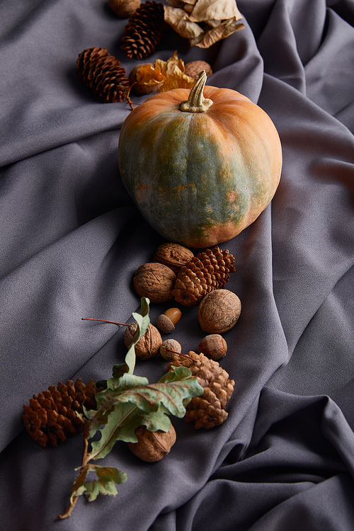 ripe whole pumpkin with autumnal decor on grey cloth