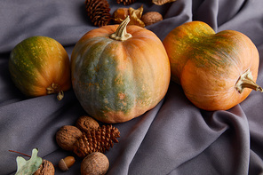 ripe whole colorful pumpkins with autumnal decoration on grey cloth