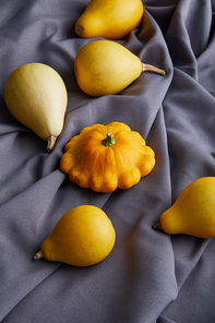 ripe colorful pattypan squash on grey cloth