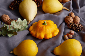 ripe whole colorful pumpkins and autumnal decor on grey cloth