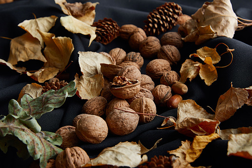 nuts, cones and dry foliage on black cloth