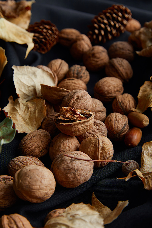 nuts, cones and dry foliage on black cloth