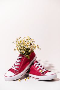 casual red sneakers with chamomile on white background