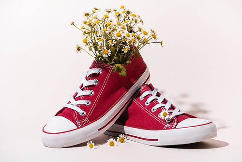 casual red sneakers with chamomile on white background