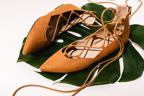 flat suede brown shoes on palm leaf on beige background