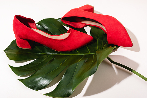 red suede brown shoes on palm leaf on beige background