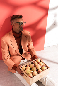 happy man in blazer and sunglasses sitting with sweet peaches in box on red and white with shadows