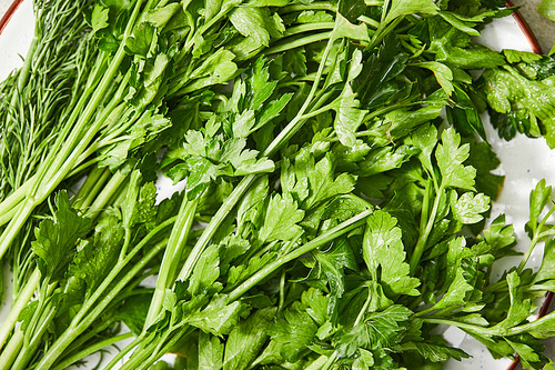 Top view of green parsley and dill on plate