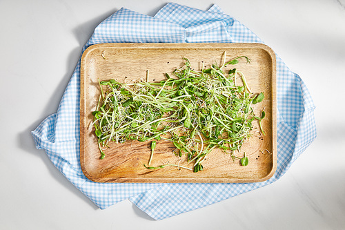 Top view of cutting board with microgreens on plaid cloth on white background