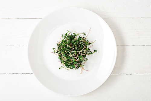 top view of fresh microgreen on plate on white wooden surface