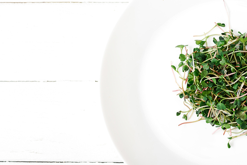 top view of fresh microgreen on plate on white wooden surface