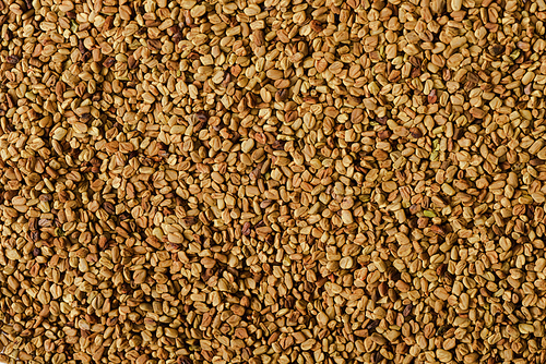 close up view of natural fenugreek background