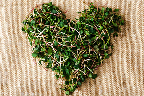 top view of fresh microgreen arranged in heart on sackcloth