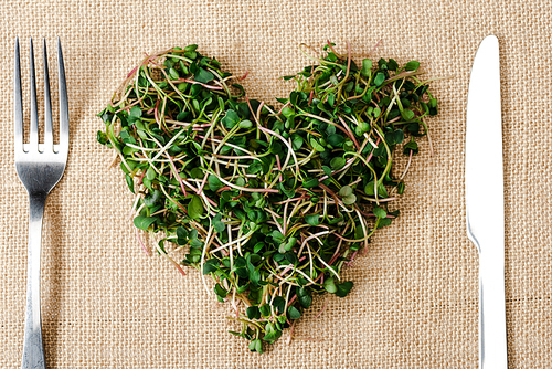 top view of fresh microgreen arranged in heart on sackcloth with cutlery