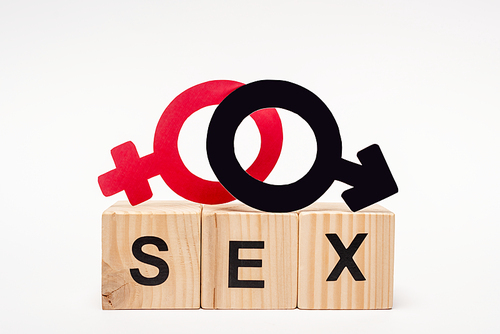 wooden cubes with sex lettering near gender symbols on white