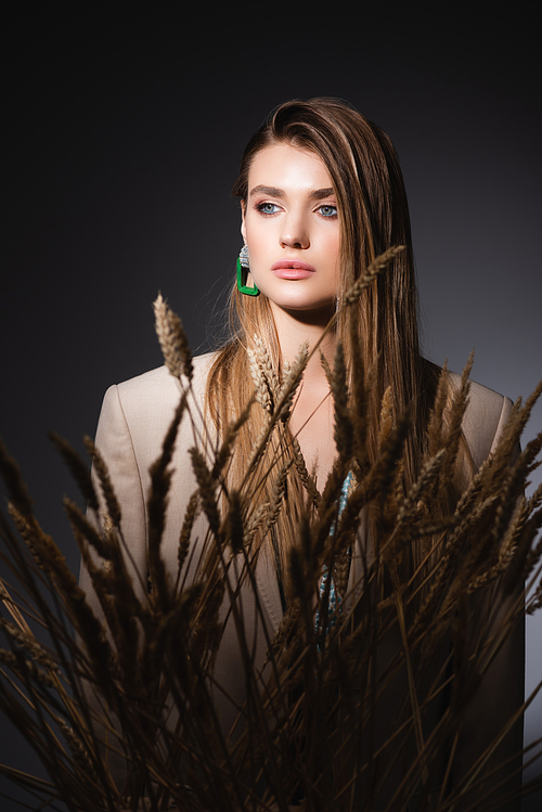 young woman standing near wheat spikelets on dark grey background