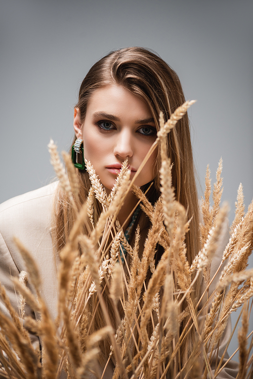 young woman  through barley spikelets on grey background