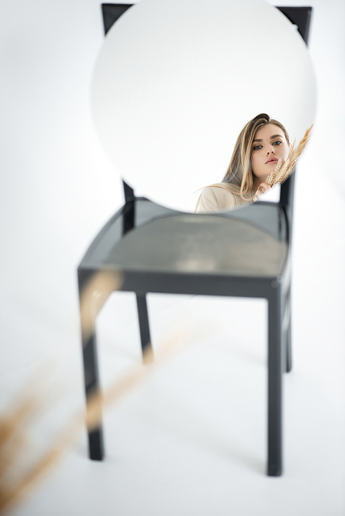 reflection of young woman  near wheat with blurred chair on white background