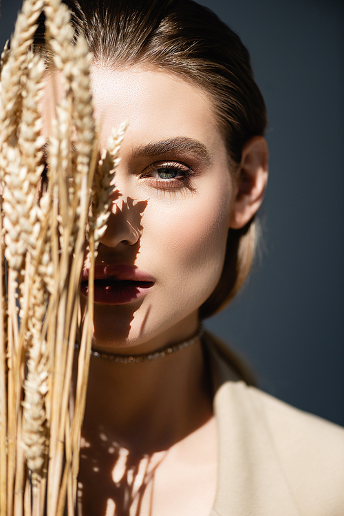 young woman  near wheat spikelets on dark grey