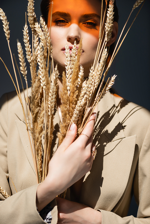 young woman in blazer  and holding wheat spikelets on dark grey