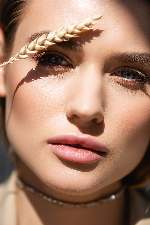 wheat spikelet near face of young woman 