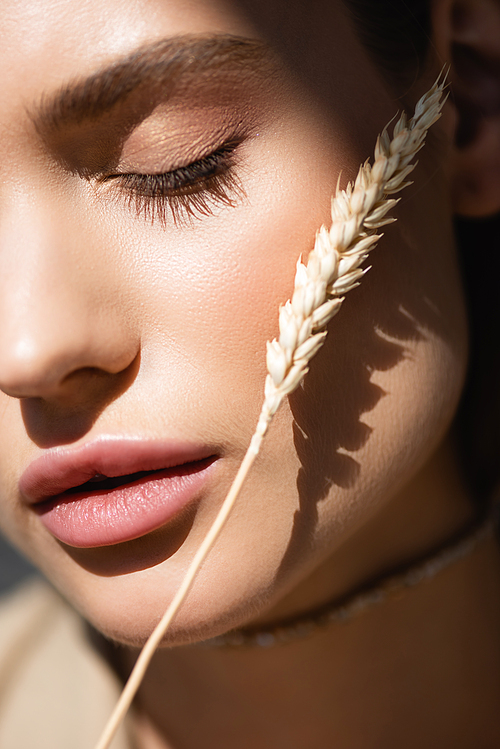 close up of young woman with closed eye near wheat spikelet