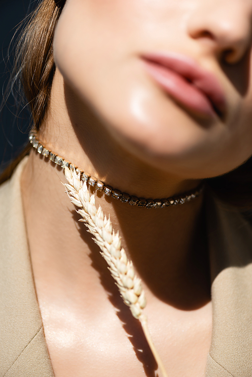 cropped view of woman in necklace near wheat spikelet on dark grey