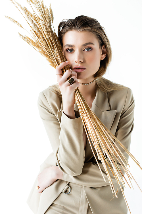 young model in suit holding wheat spikelets on white
