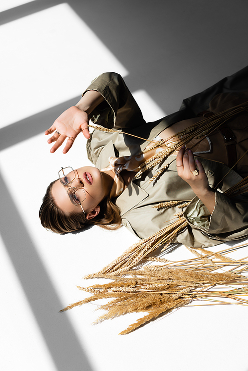 high angle view of model in glasses, trench coat and scarf lying near wheat on white