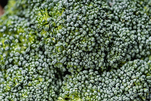 close up view of fresh green broccoli
