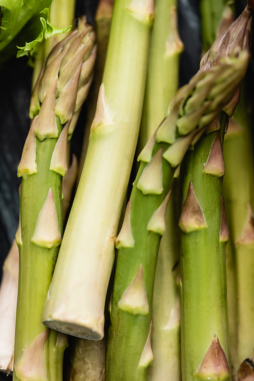 close up view of fresh green asparagus