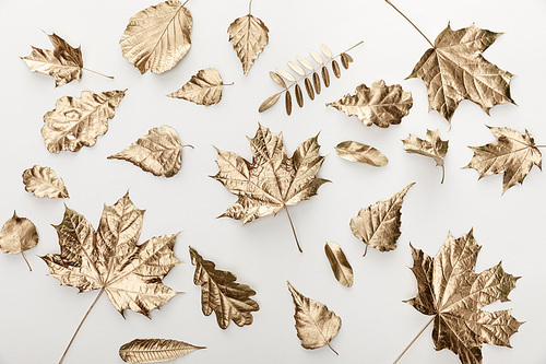top view of golden autumnal leaves on white background