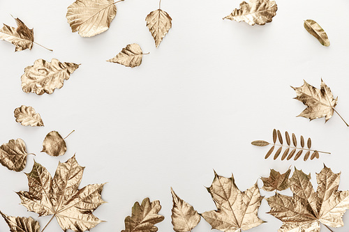 top view of golden foliage on white background