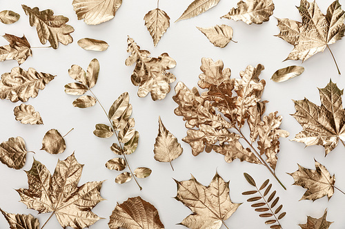 top view of golden painted foliage on white background