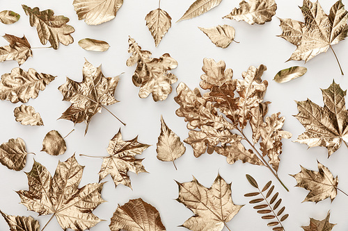 top view of golden painted autumnal foliage on white background